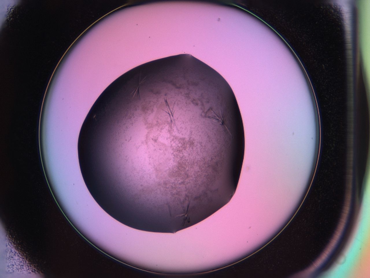 03lm_B1_ImagerDefaults_7.jpg