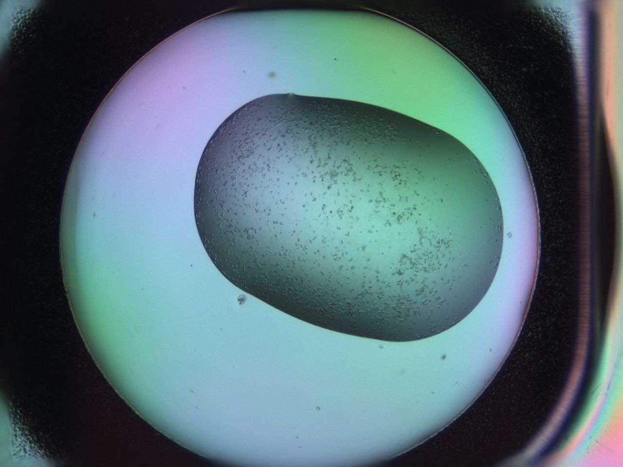 03lm_C9_ImagerDefaults_6.jpg