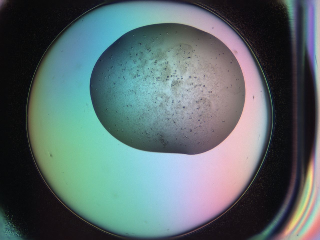 03lo_F8_ImagerDefaults_6.jpg