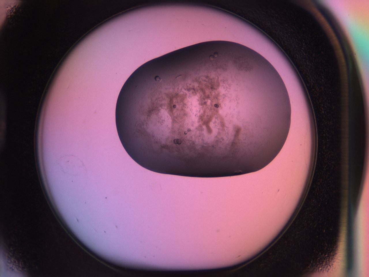 03lq_D5_ImagerDefaults_6.jpg