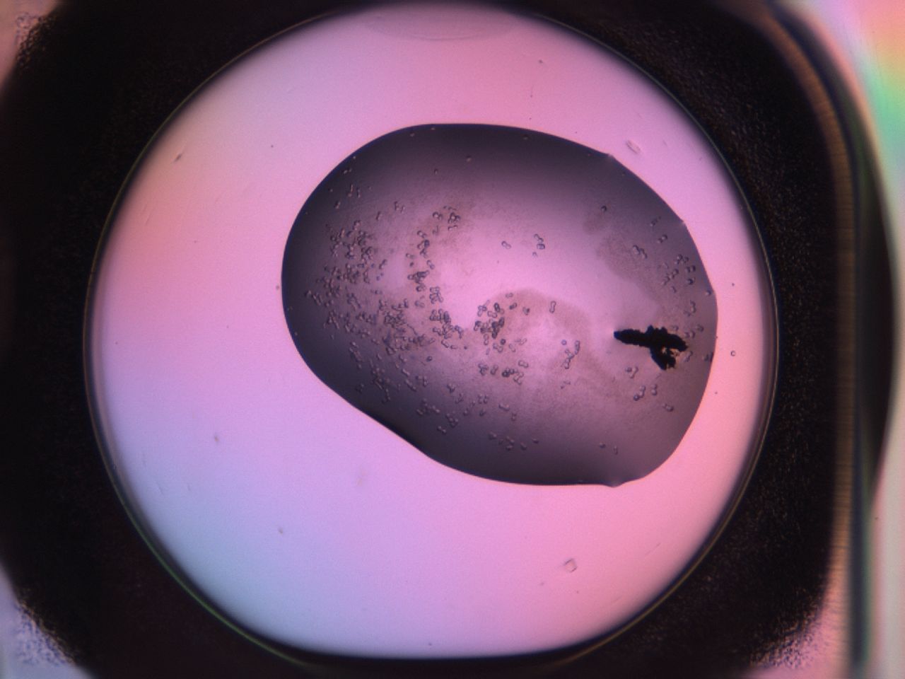 03lq_D4_ImagerDefaults_6.jpg