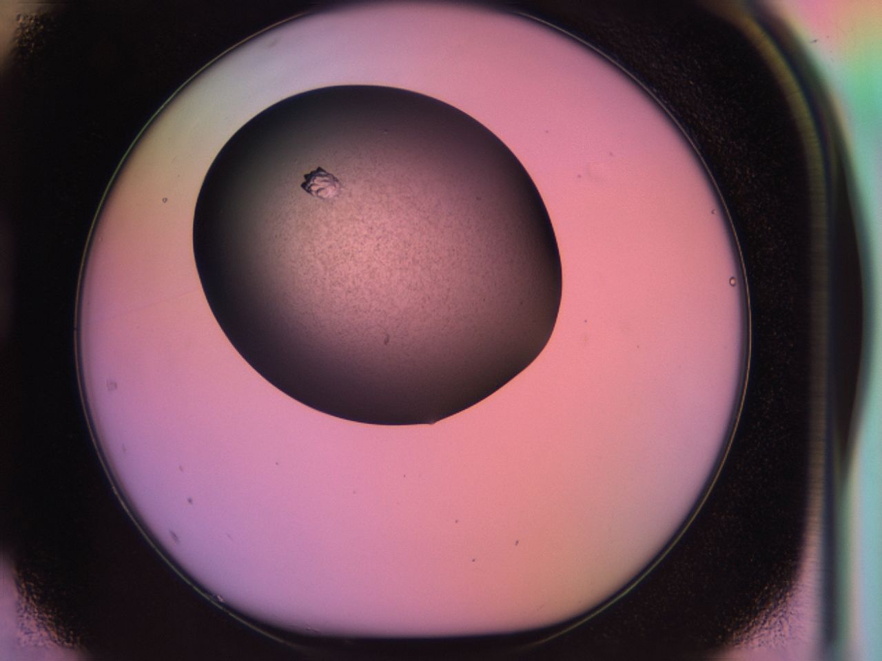 03lq_D1_ImagerDefaults_7.jpg