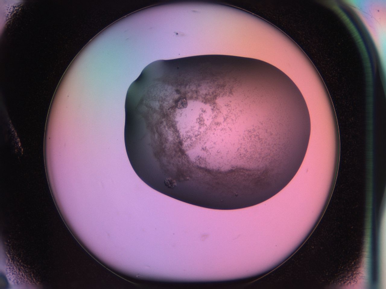 03lu_A6_ImagerDefaults_6.jpg