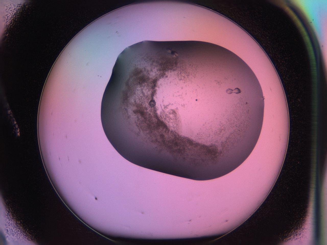 03lu_A8_ImagerDefaults_6.jpg