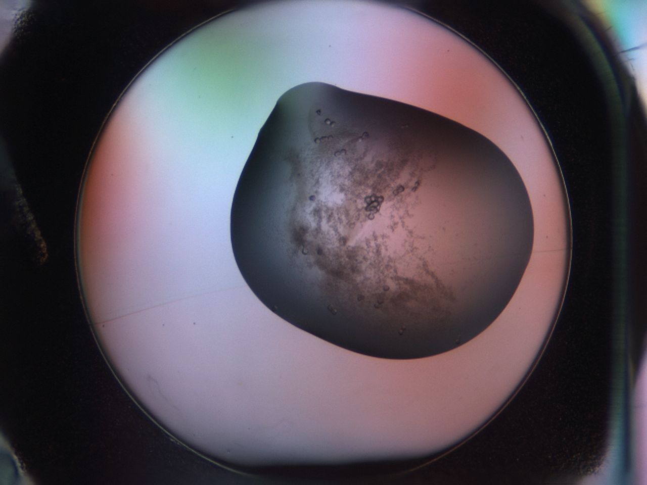 03lu_A2_ImagerDefaults_6.jpg