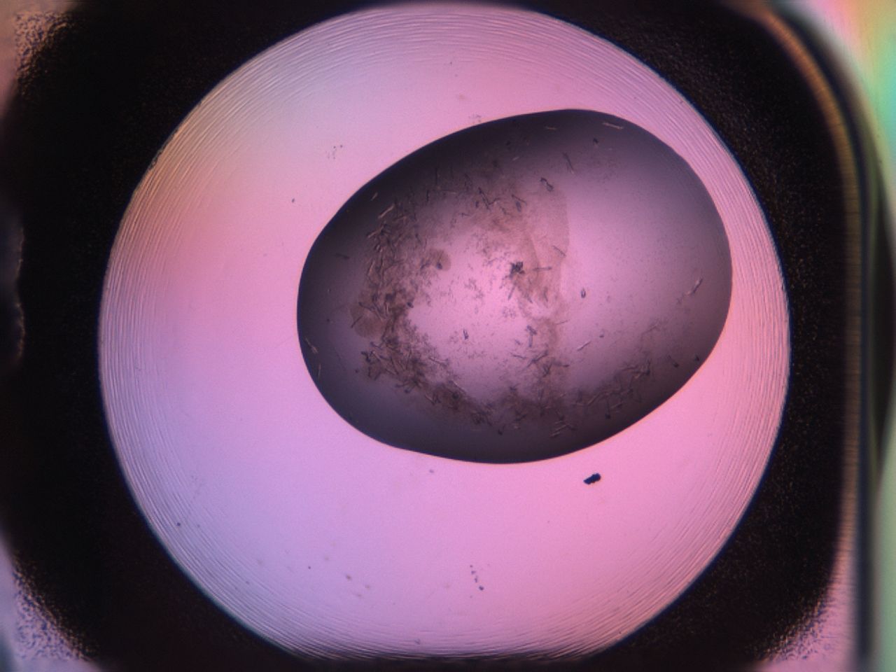 03lu_B8_ImagerDefaults_6.jpg