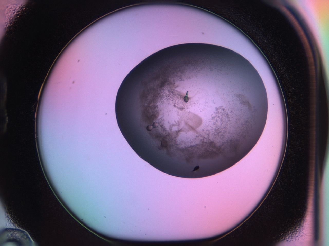 03lu_B10_ImagerDefaults_6.jpg