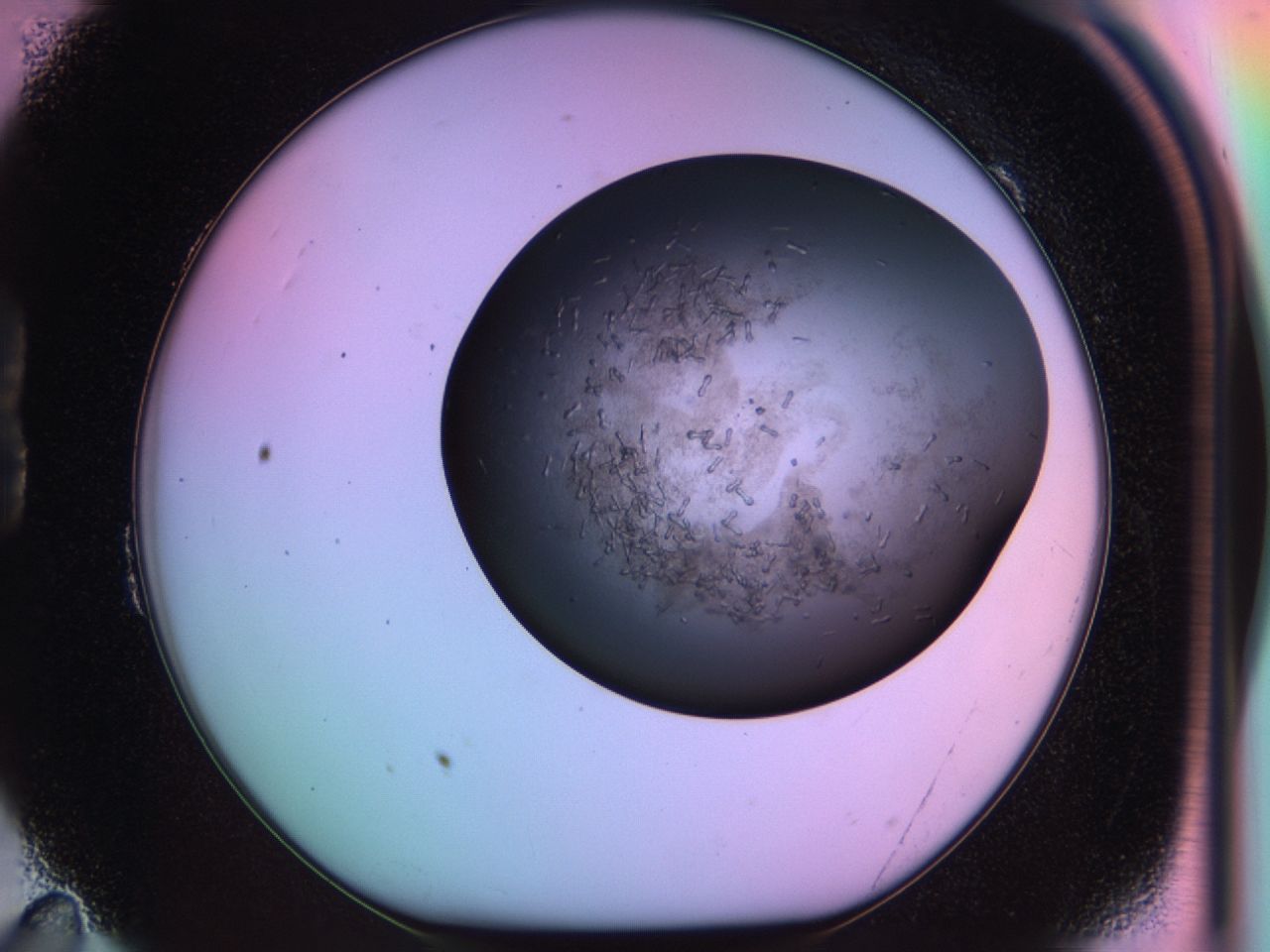 03lu_B11_ImagerDefaults_6.jpg