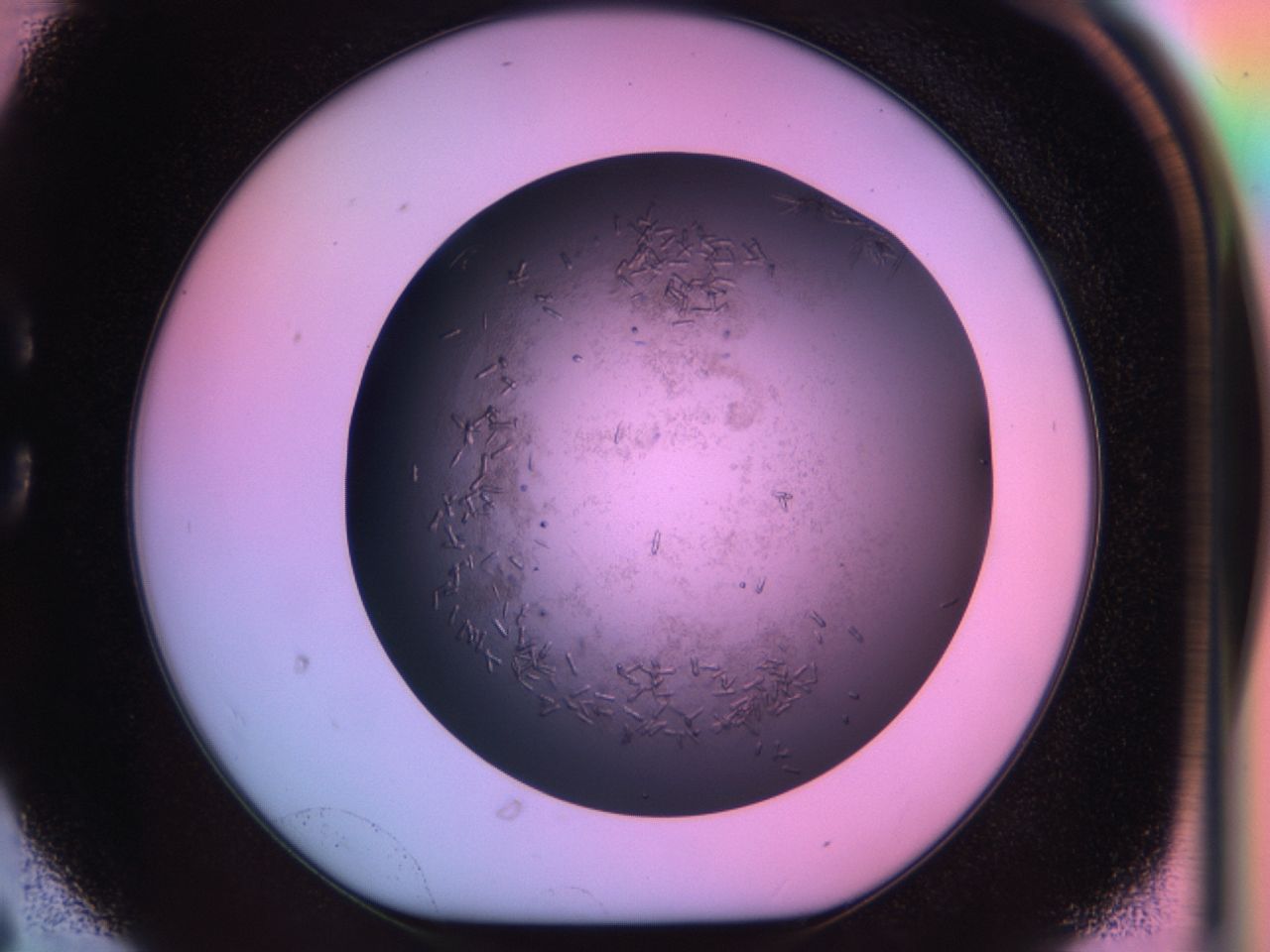 03lu_C6_ImagerDefaults_6.jpg