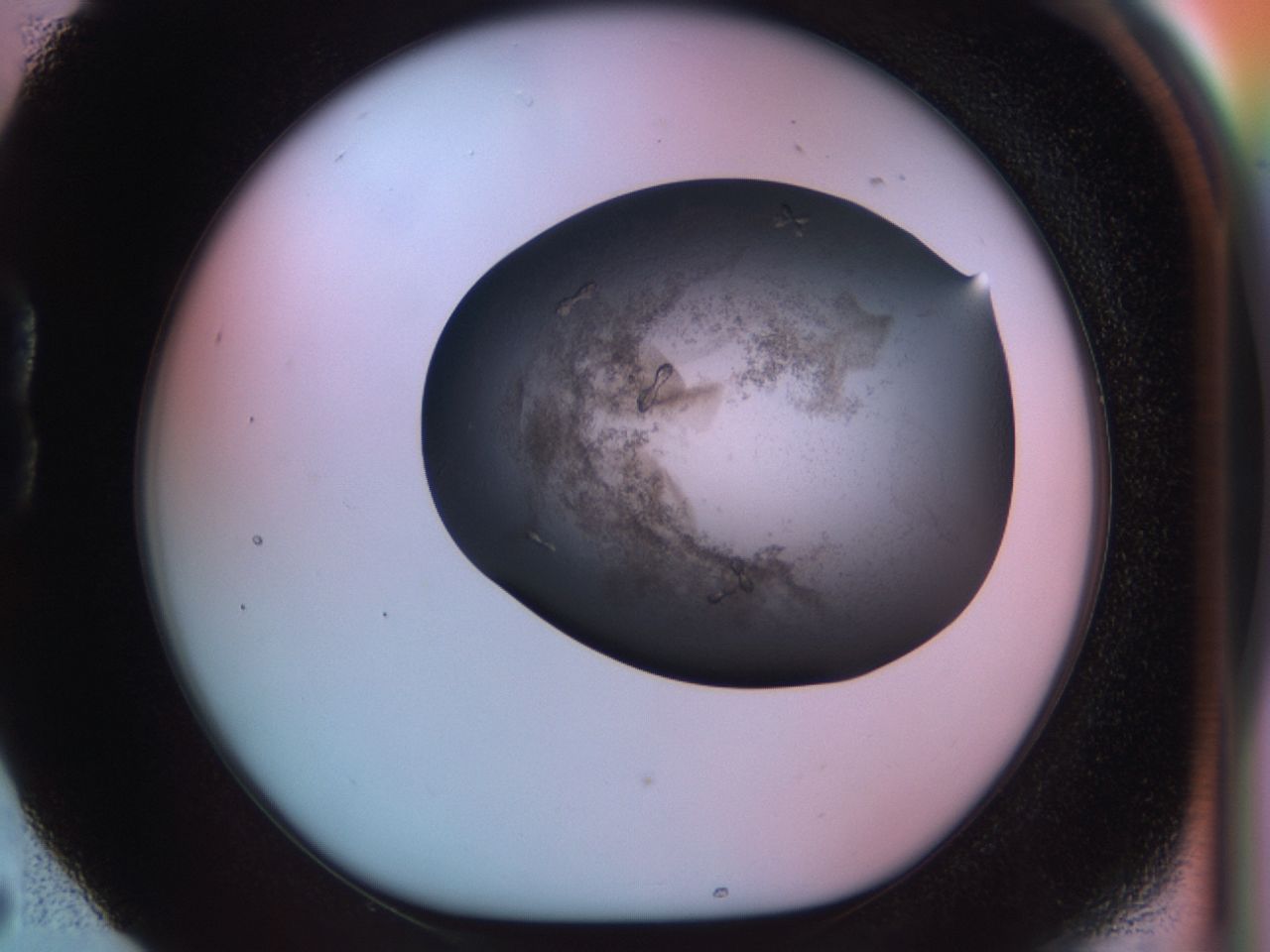 03lu_B5_ImagerDefaults_6.jpg