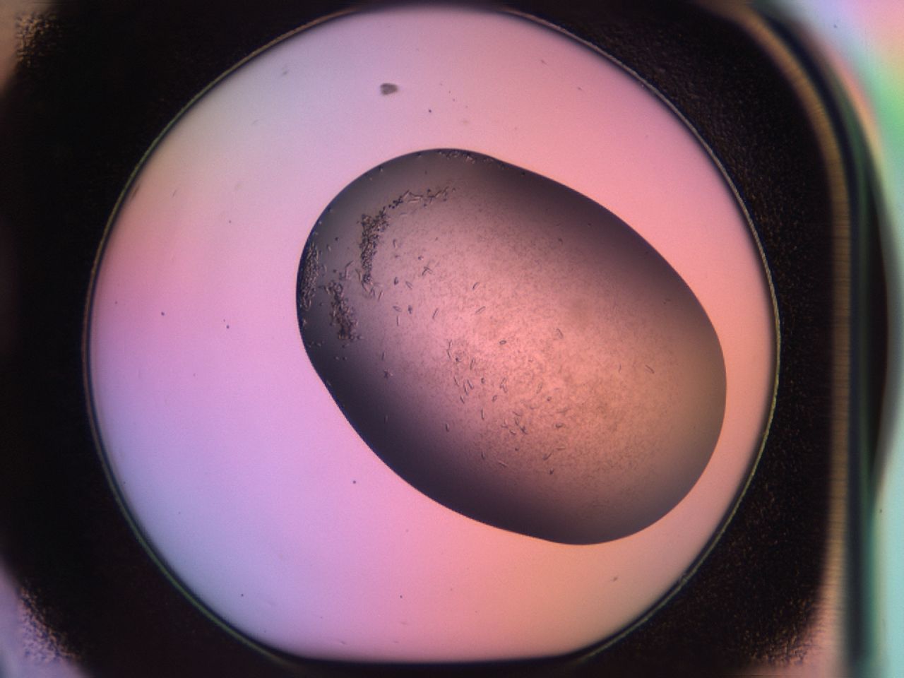 03lu_D8_ImagerDefaults_6.jpg