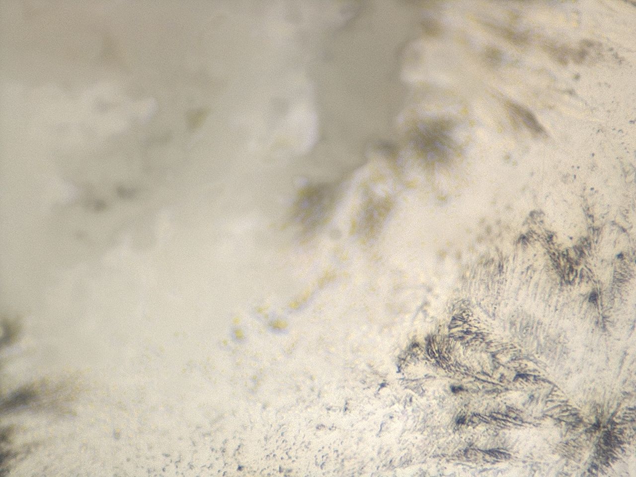03m1_A12_ImagerDefaults_9.jpg