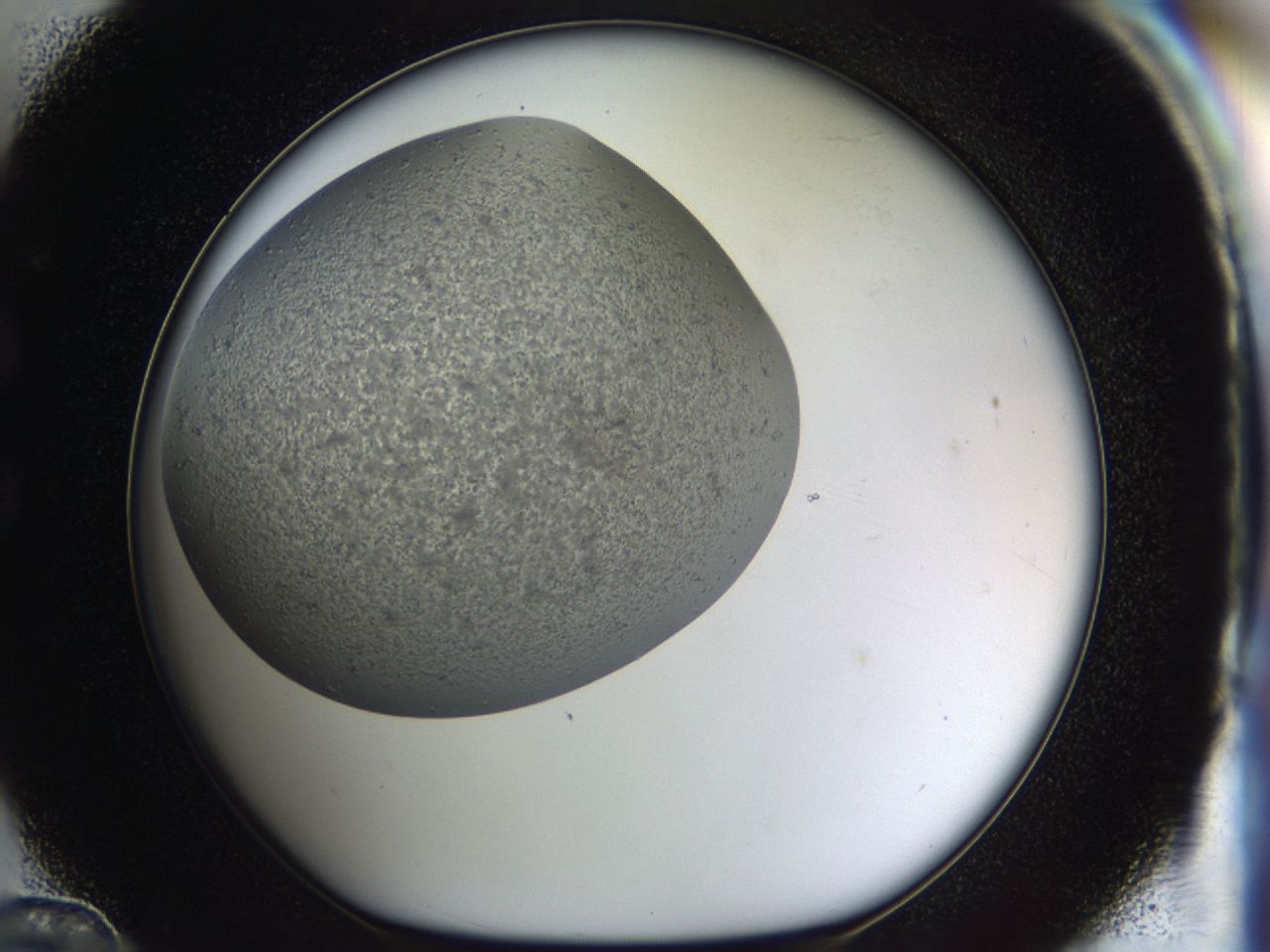 03m5_C12_ImagerDefaults_9.jpg