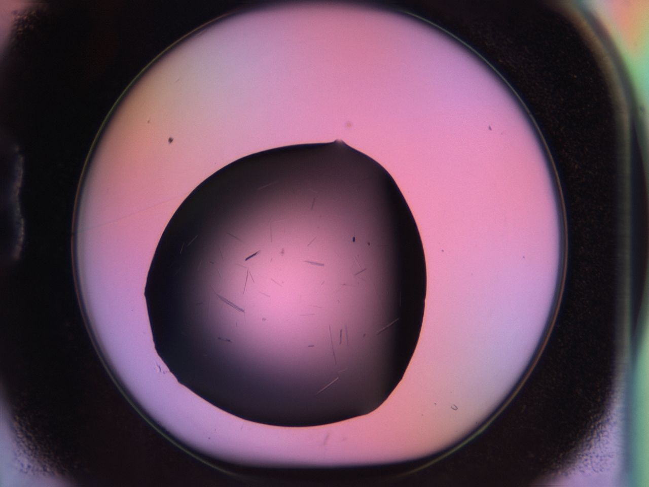 03m8_B1_ImagerDefaults_7.jpg