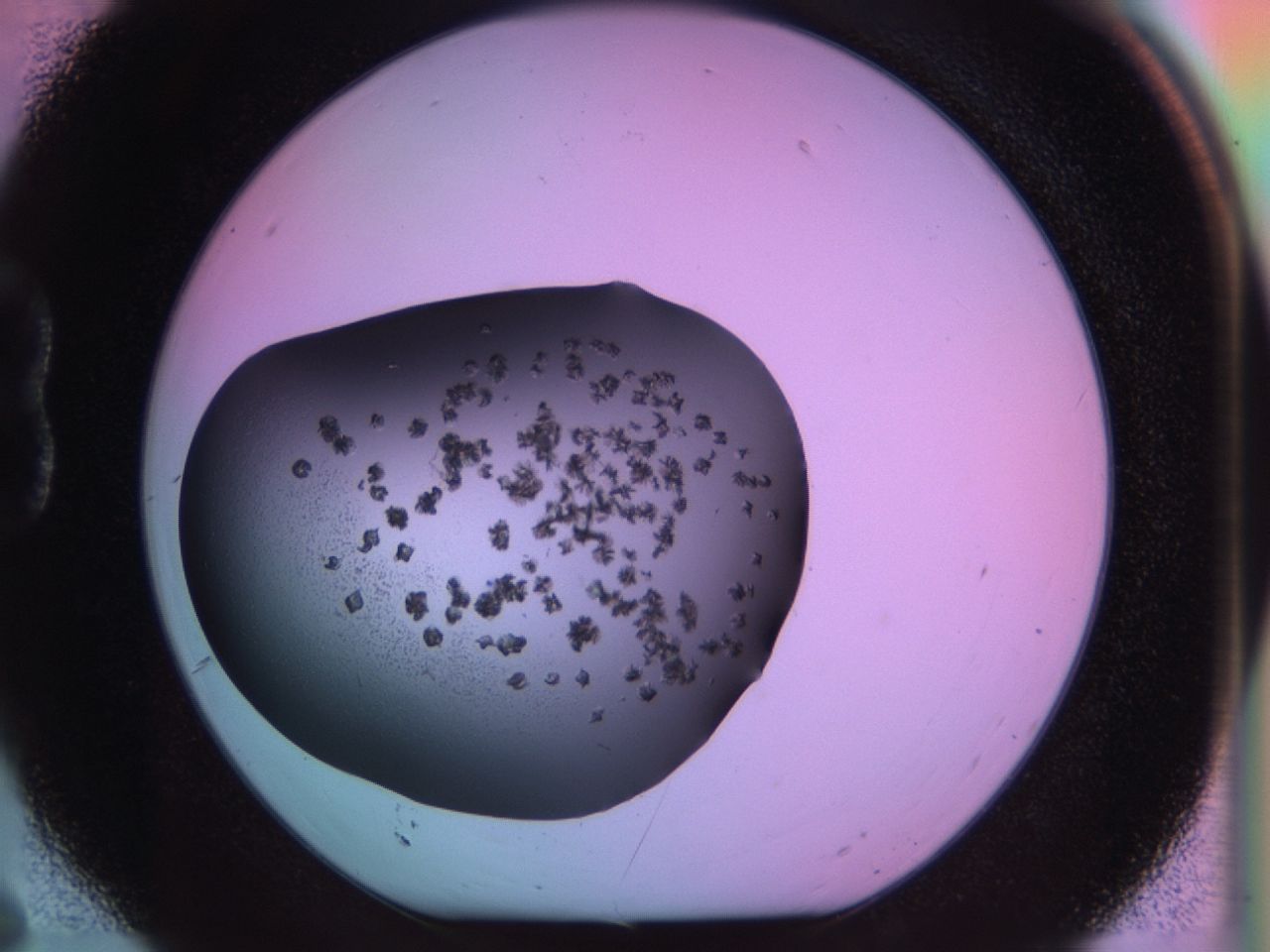 03m8_B6_ImagerDefaults_6.jpg