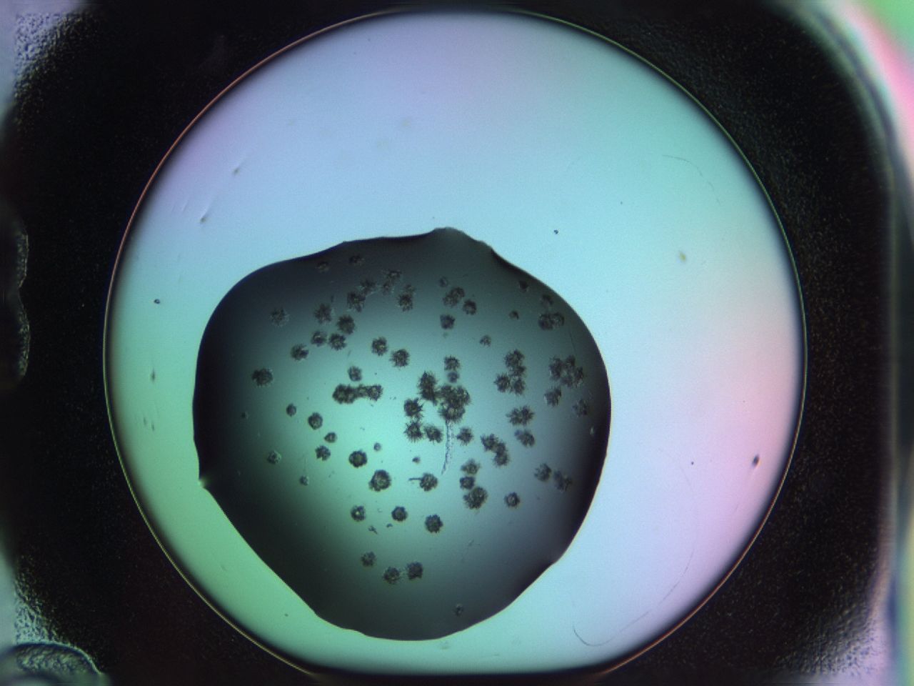 03m8_B12_ImagerDefaults_6.jpg