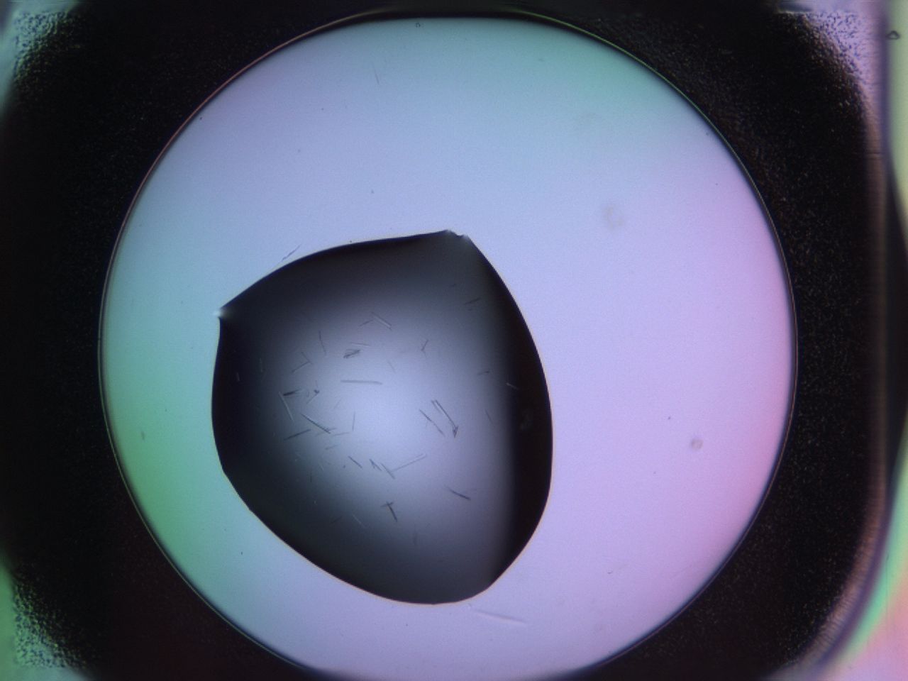 03m8_B9_ImagerDefaults_7.jpg
