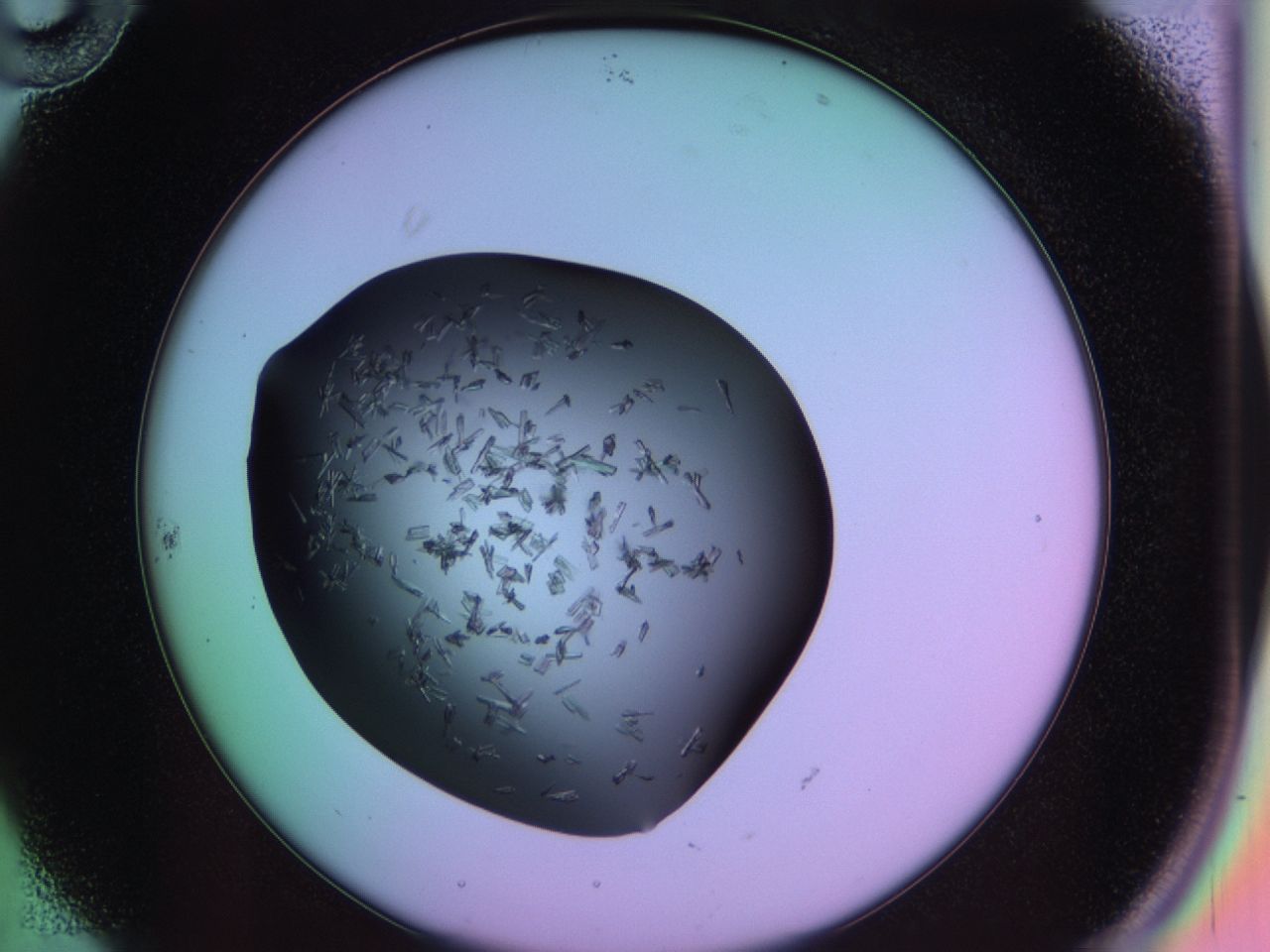 03m8_B10_ImagerDefaults_7.jpg