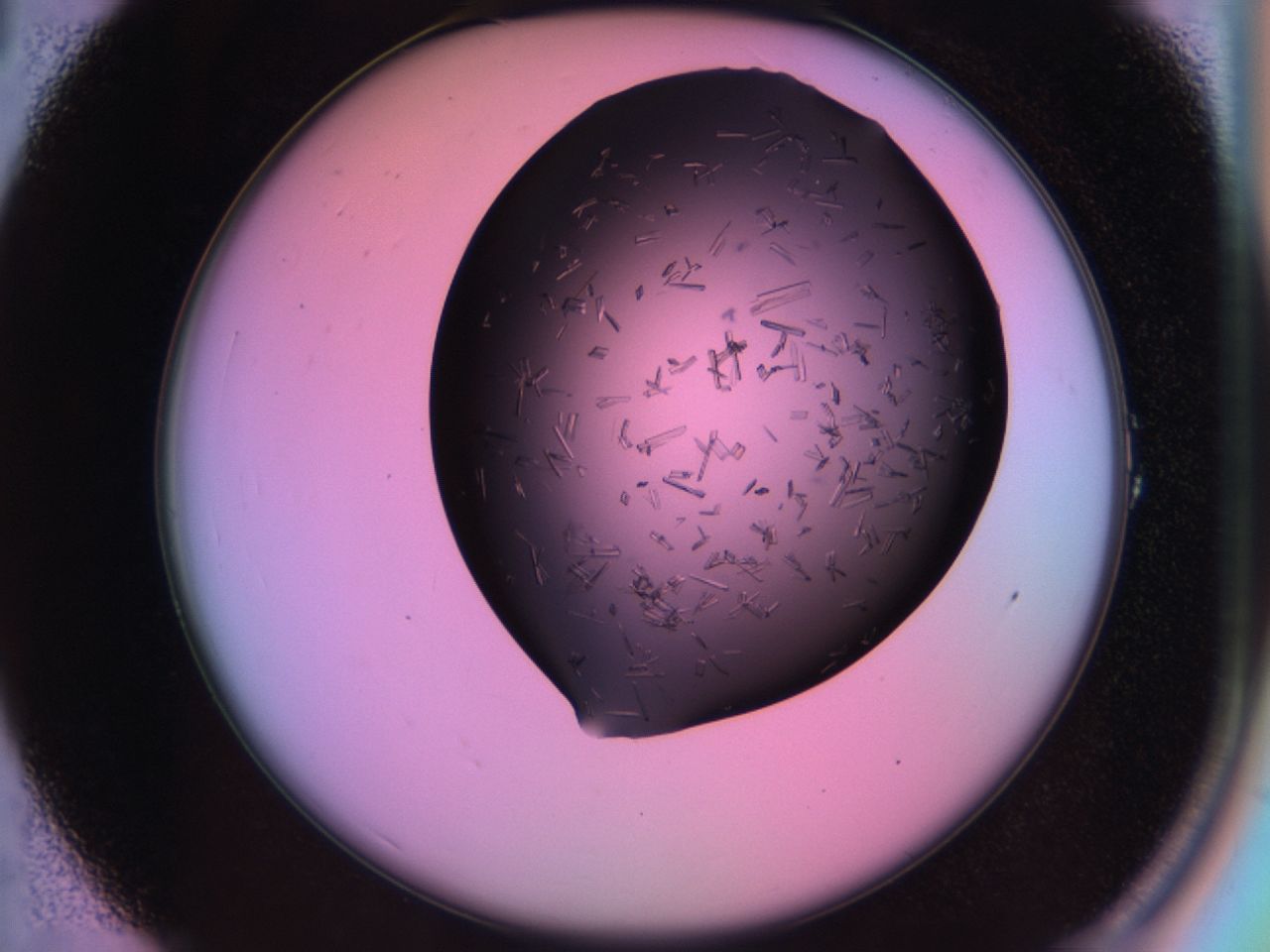 03m8_A1_ImagerDefaults_7.jpg