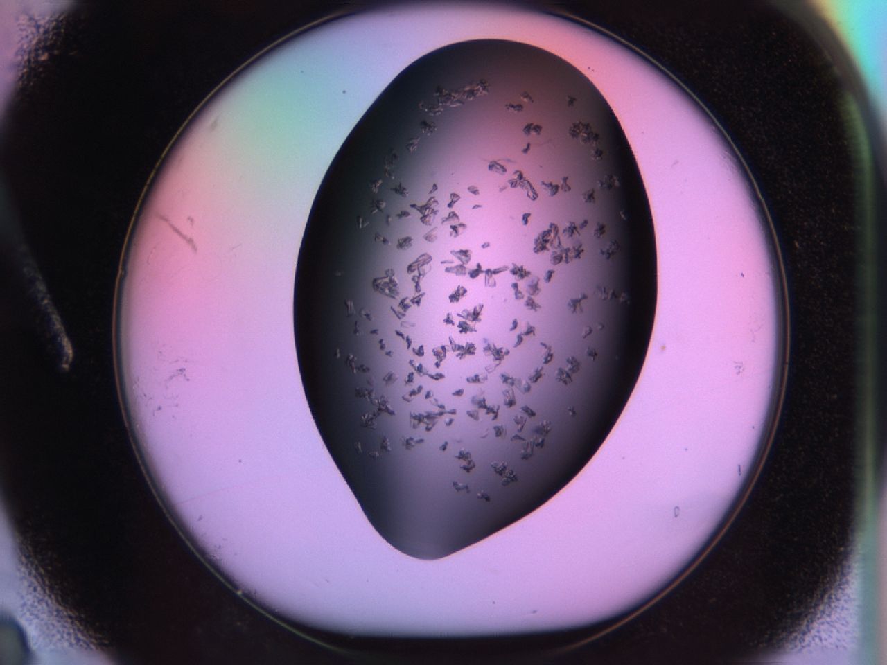 03m8_A3_ImagerDefaults_8.jpg