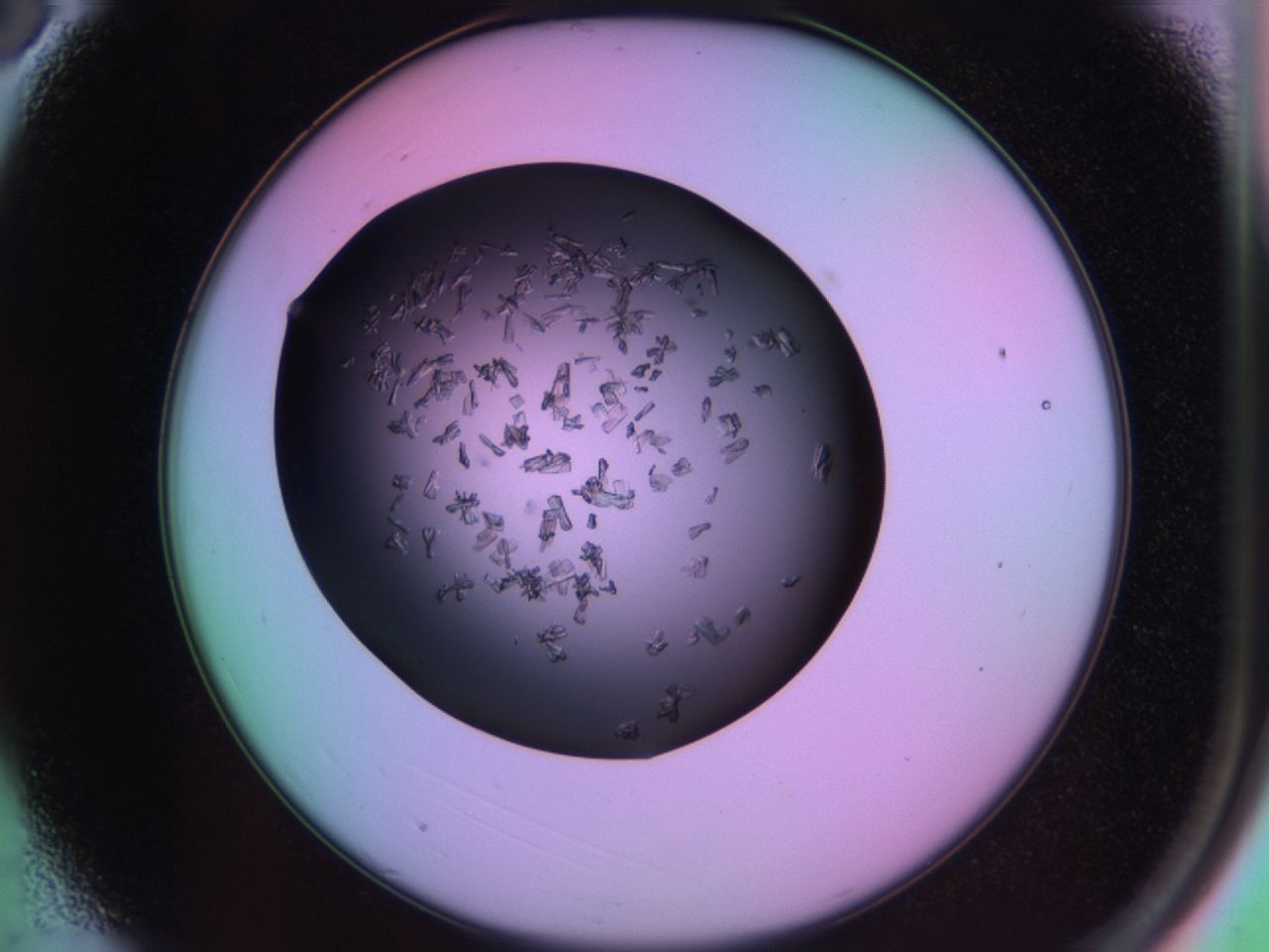 03m8_A3_ImagerDefaults_6.jpg
