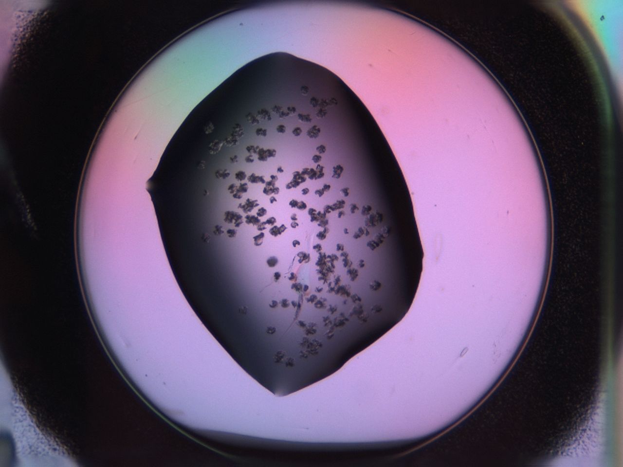 03m8_A4_ImagerDefaults_8.jpg