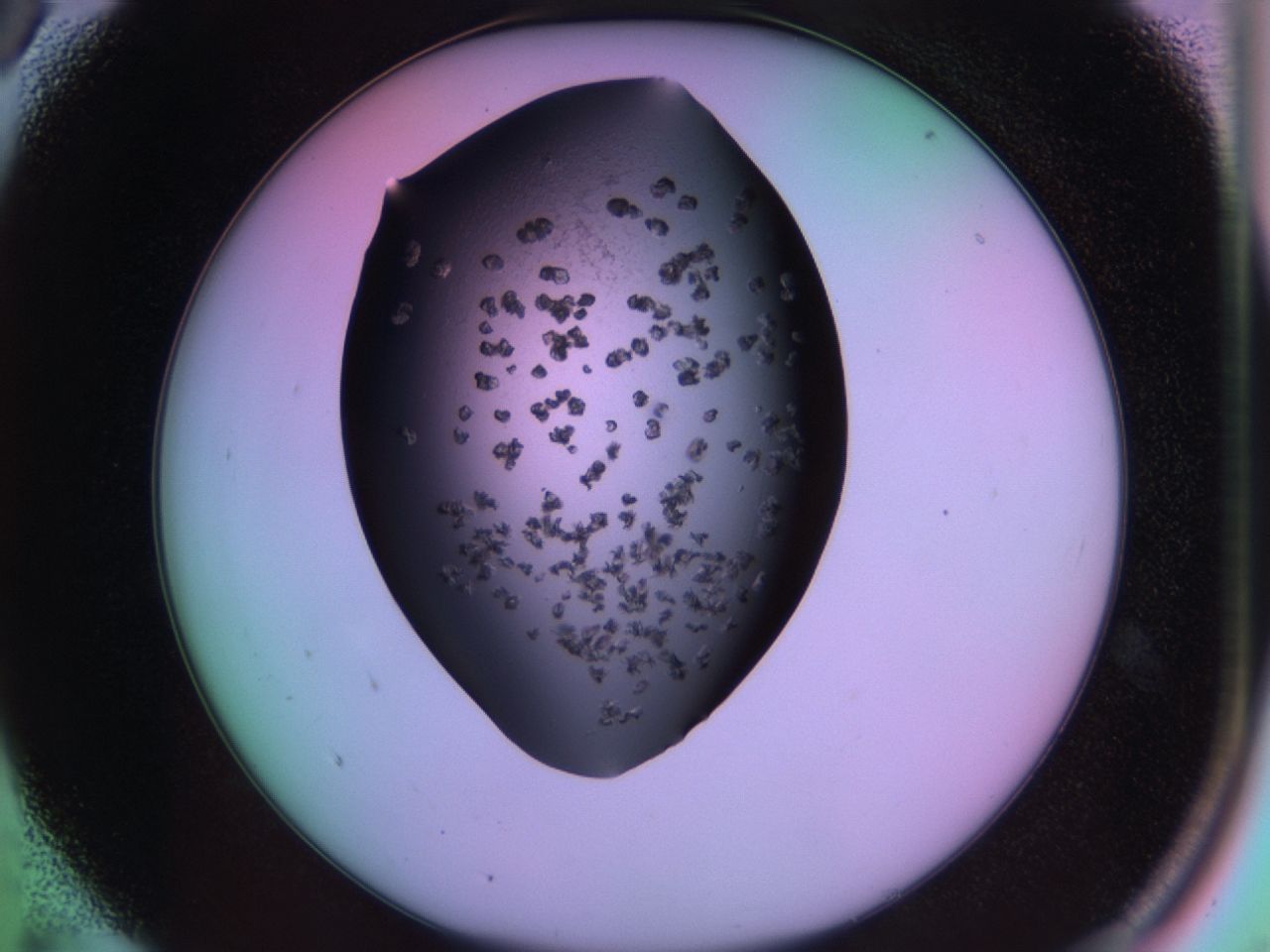 03m8_A5_ImagerDefaults_6.jpg