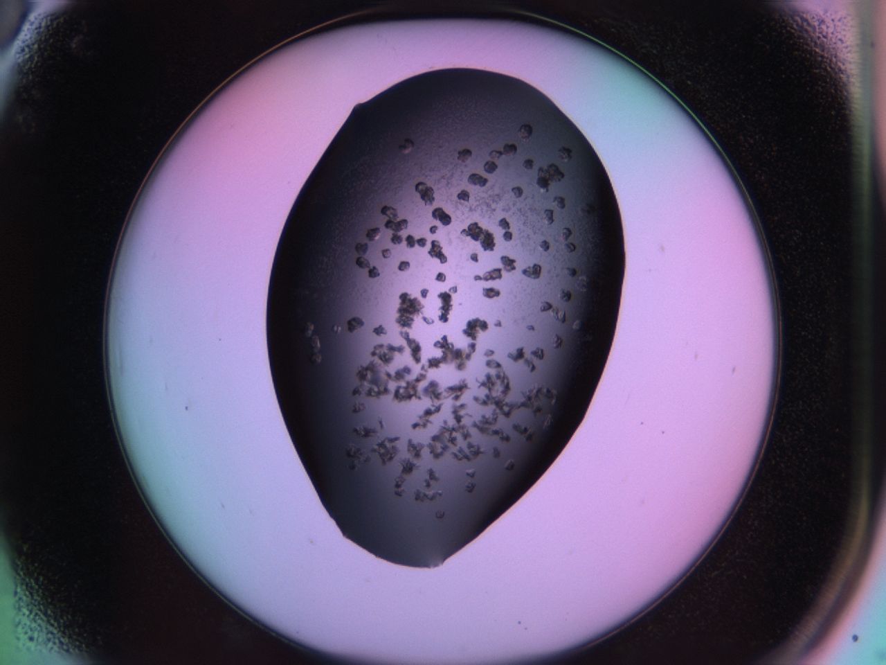 03m8_A6_ImagerDefaults_6.jpg