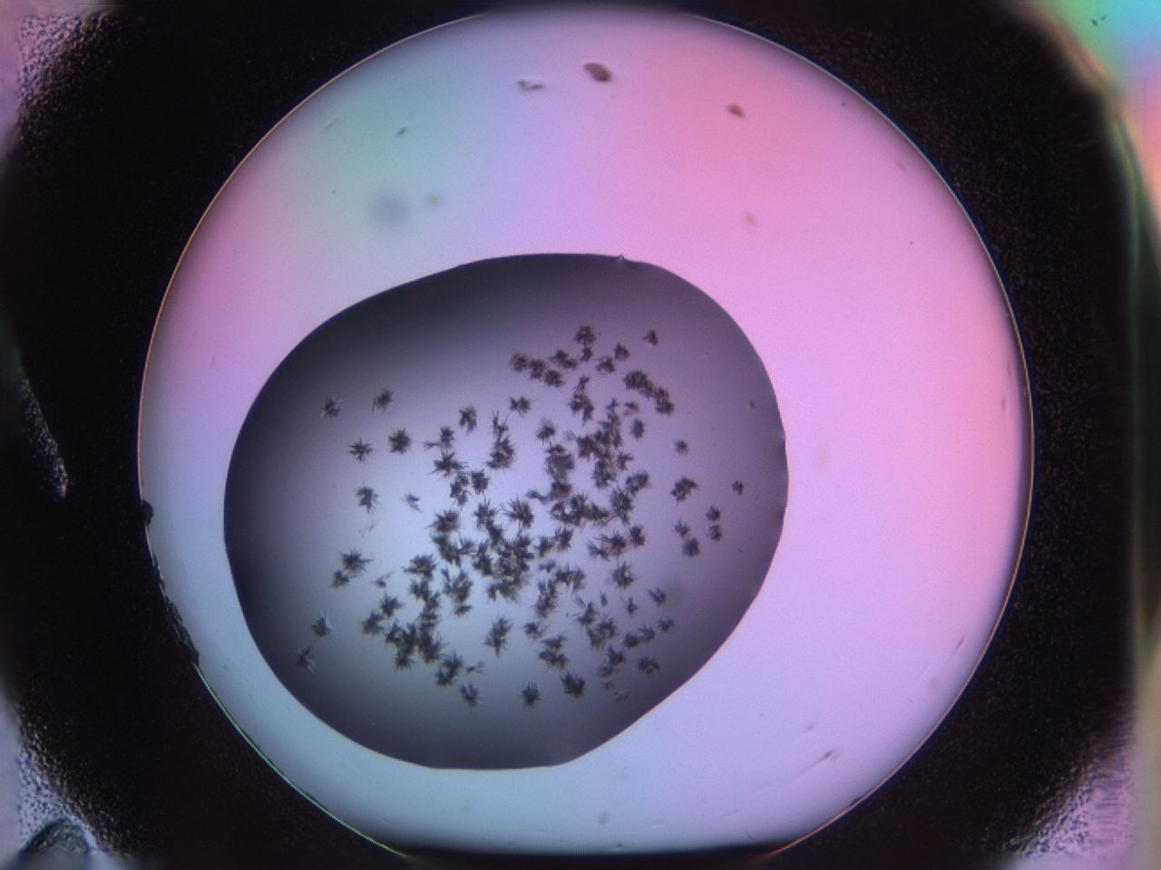03m8_A11_ImagerDefaults_6.jpg