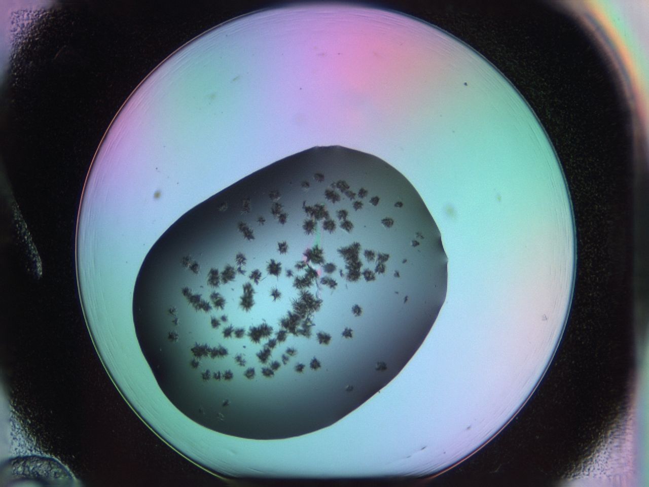 03m8_A12_ImagerDefaults_6.jpg