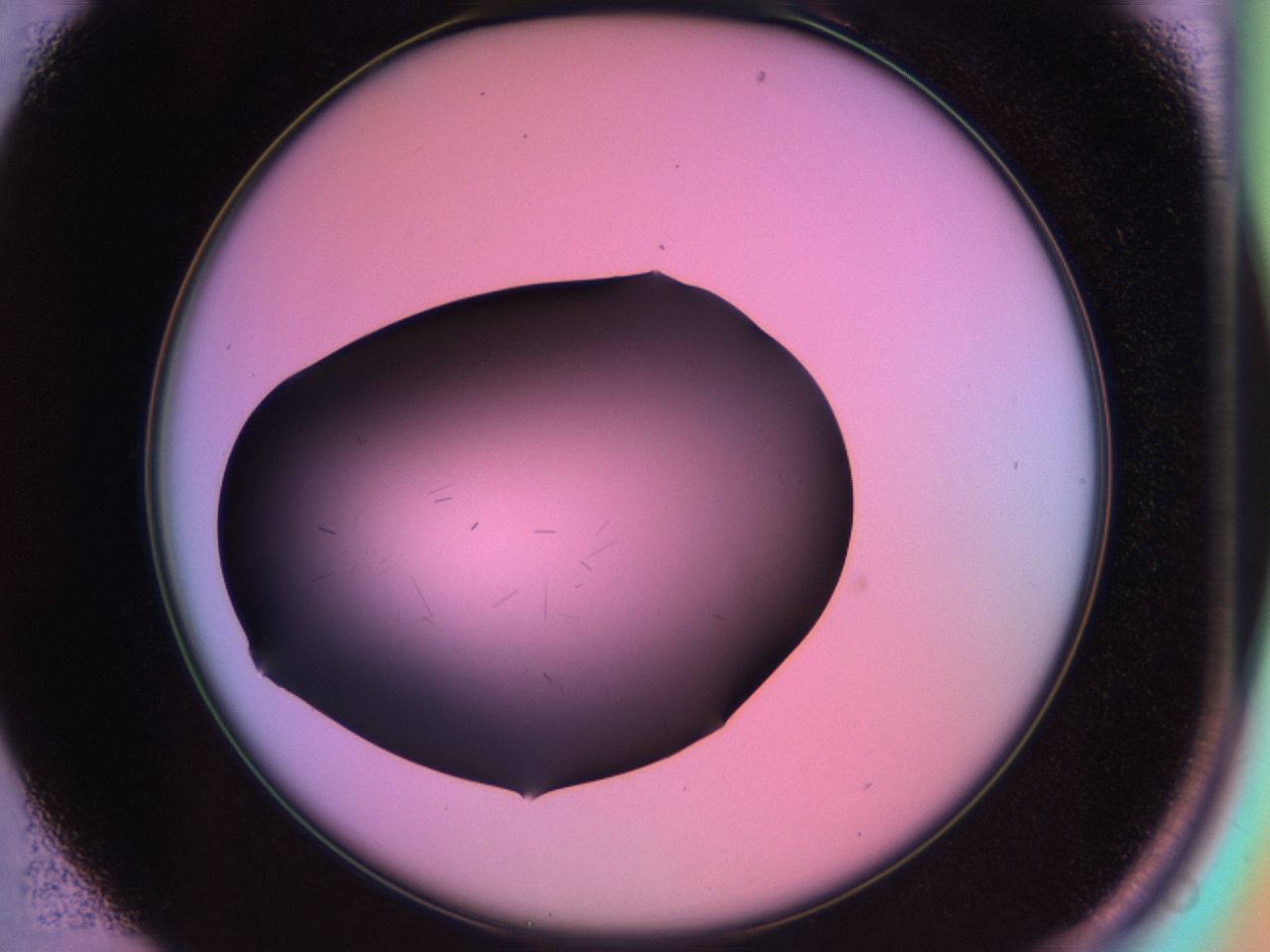 03m8_B1_ImagerDefaults_6.jpg