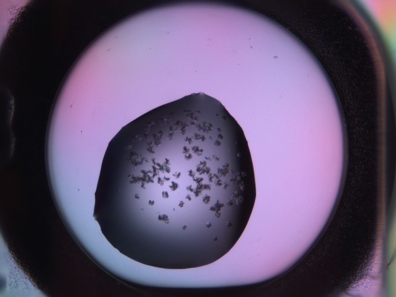 03m8_B5_ImagerDefaults_6.jpg