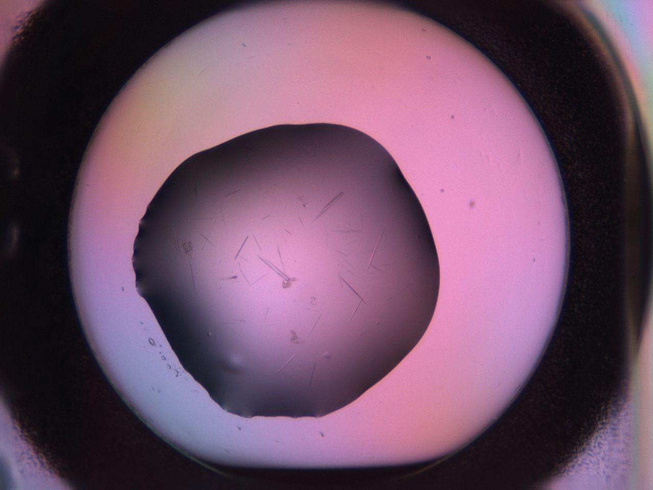 03m8_C2_ImagerDefaults_7.jpg