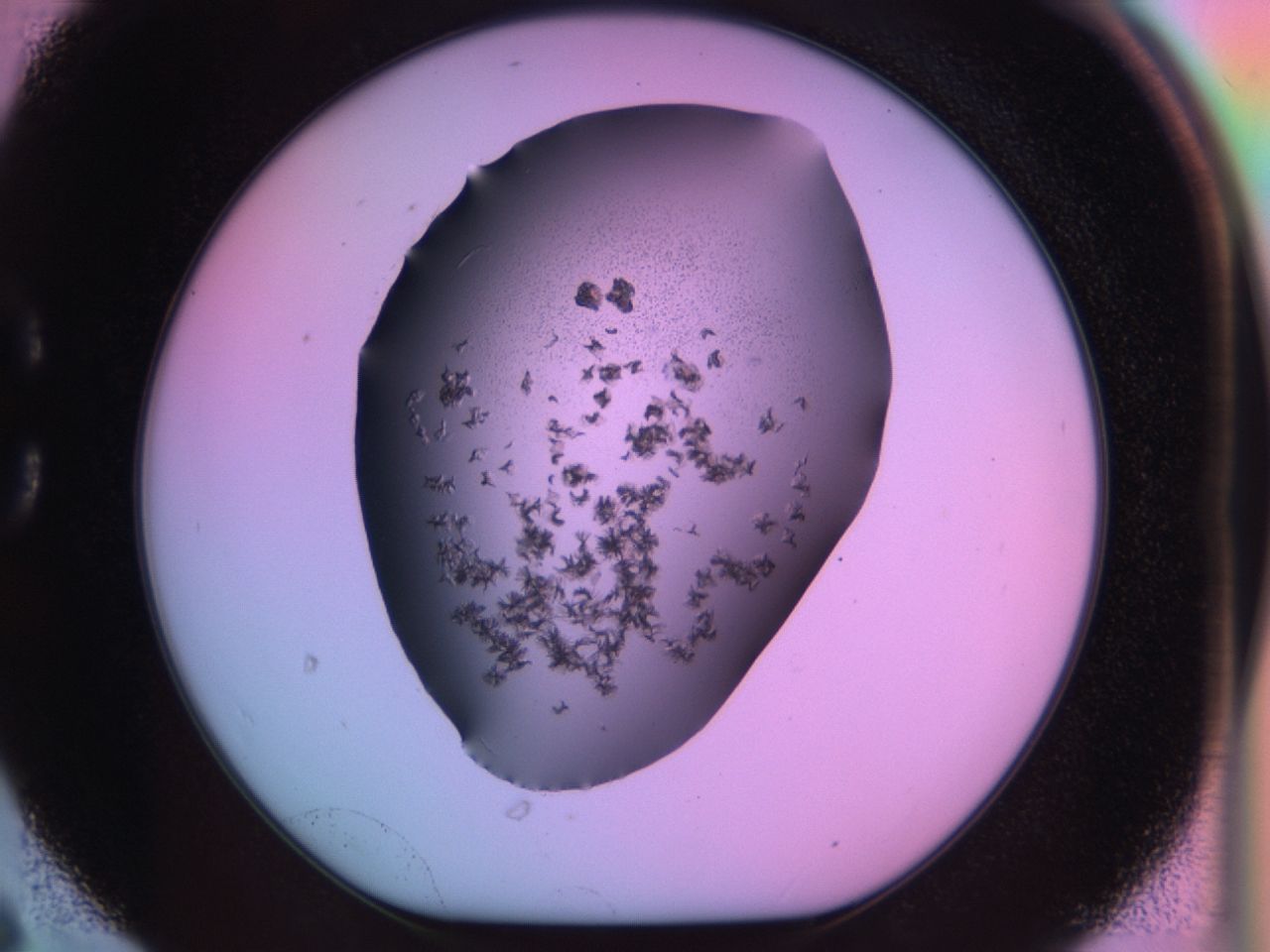 03m8_C6_ImagerDefaults_6.jpg