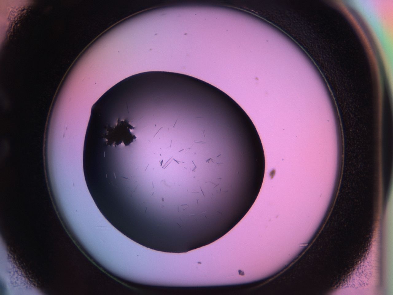 03m8_C8_ImagerDefaults_7.jpg