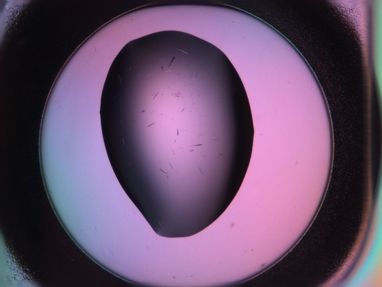 03m8_C8_ImagerDefaults_6.jpg