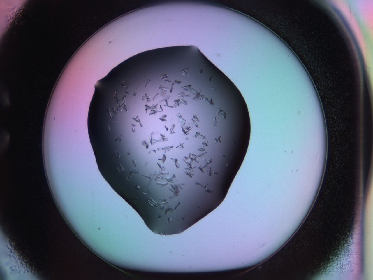 03m8_C9_ImagerDefaults_6.jpg