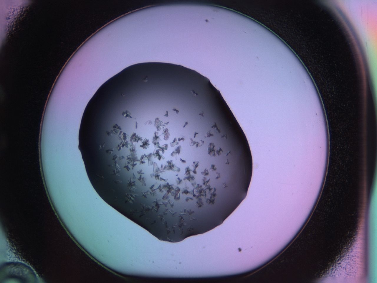 03m8_C10_ImagerDefaults_6.jpg