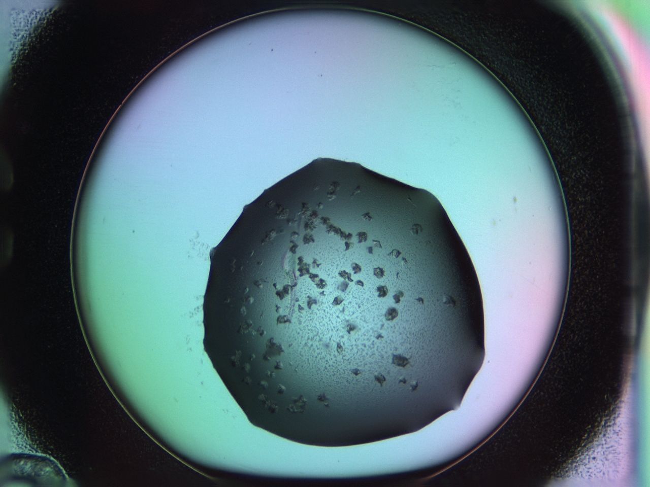 03m8_C12_ImagerDefaults_6.jpg