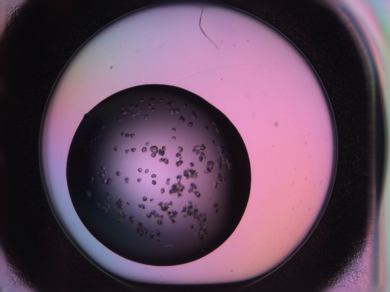 03m8_E9_ImagerDefaults_6.jpg