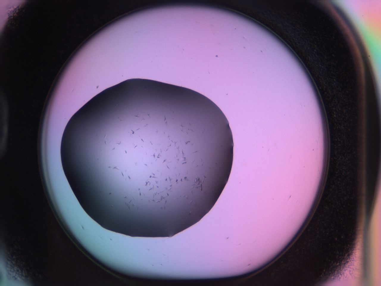 03m8_D5_ImagerDefaults_6.jpg