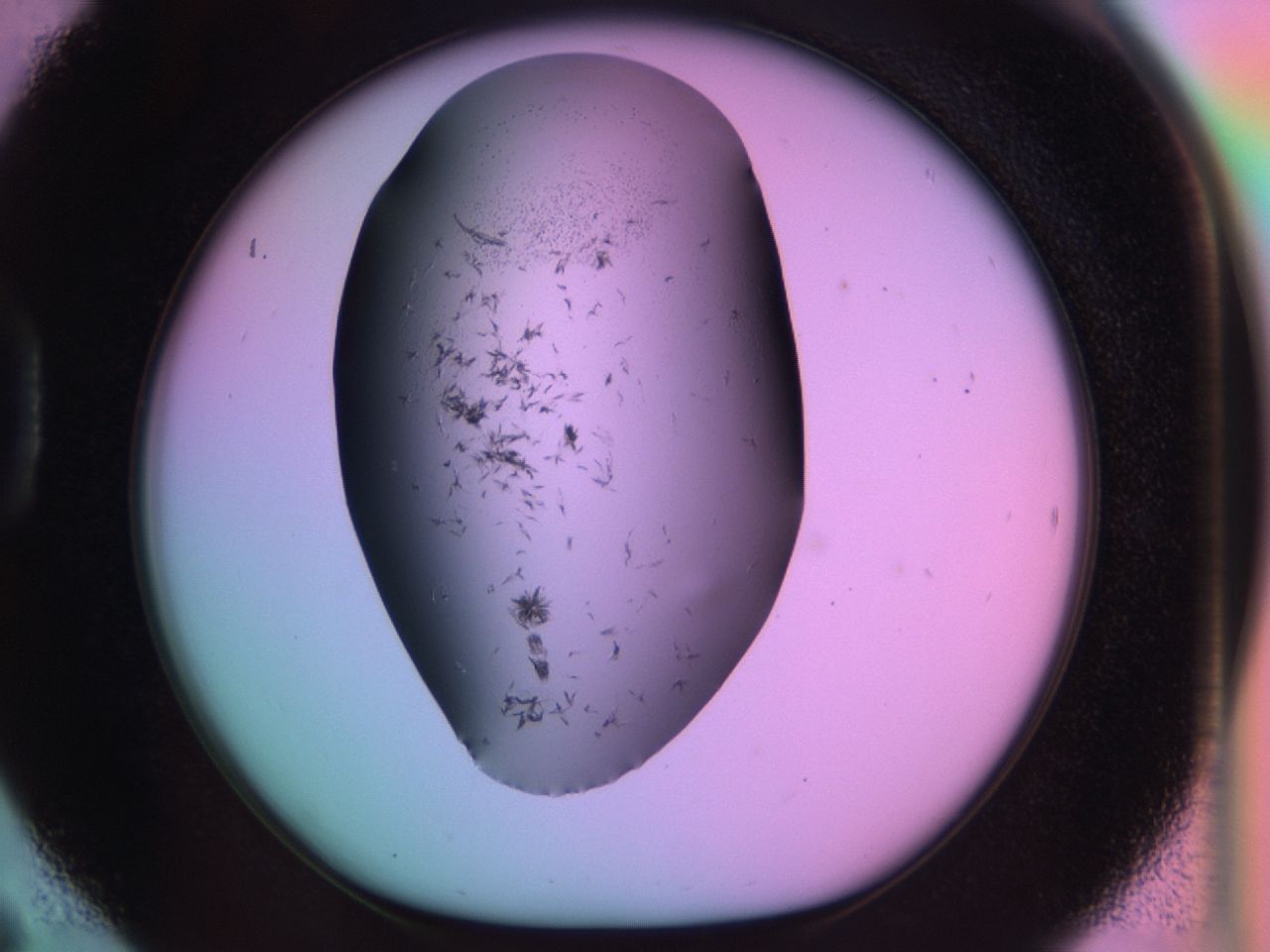 03m8_D6_ImagerDefaults_6.jpg