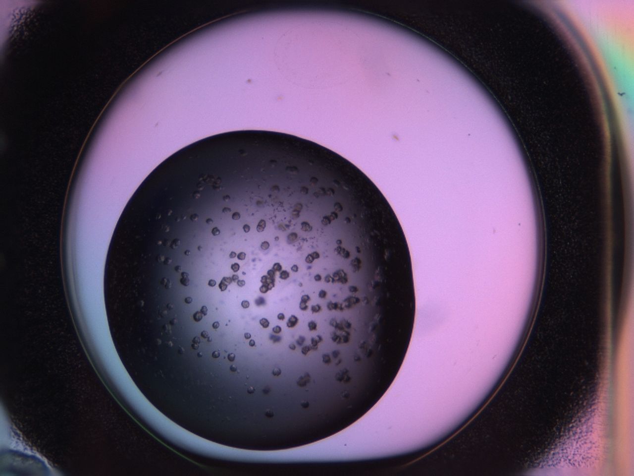 03m8_E10_ImagerDefaults_6.jpg