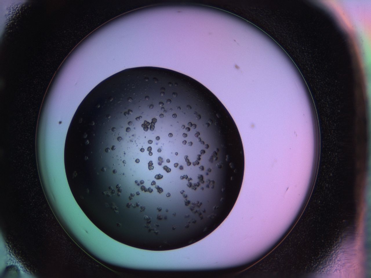 03m8_E11_ImagerDefaults_6.jpg