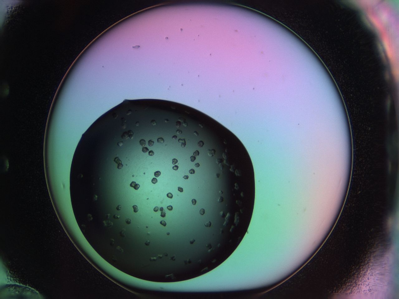 03m8_E12_ImagerDefaults_6.jpg