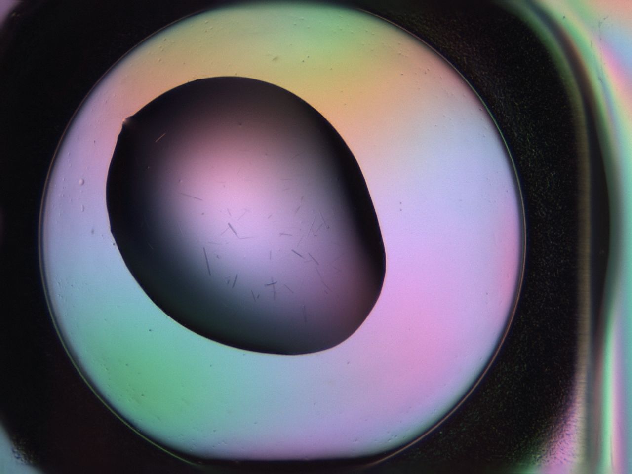03m8_G1_ImagerDefaults_7.jpg