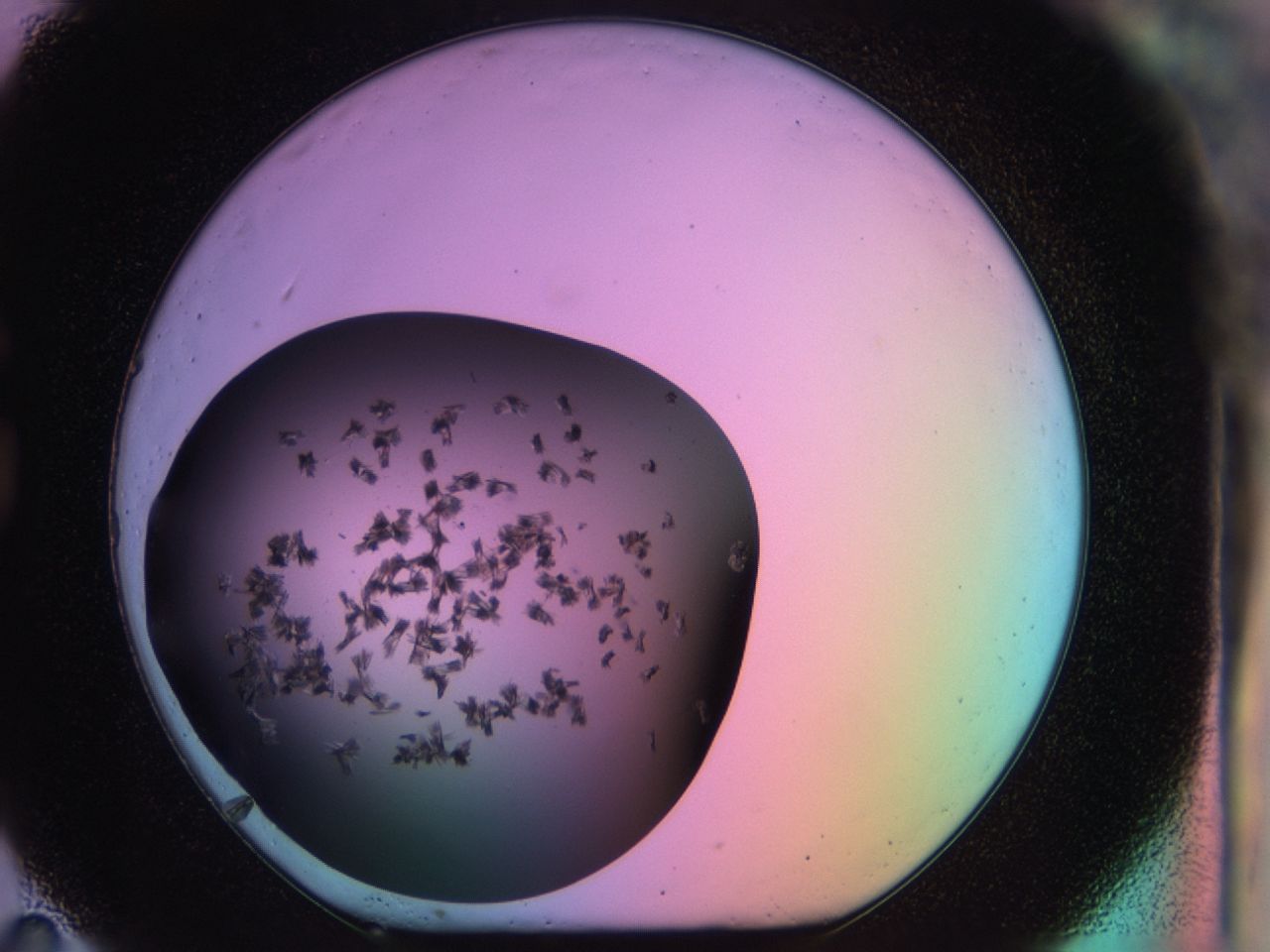 03m8_G11_ImagerDefaults_6.jpg