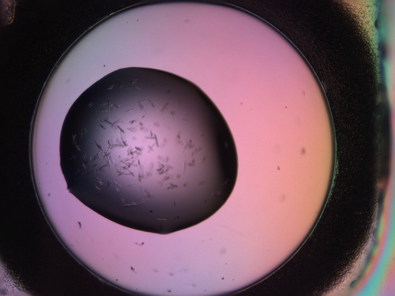 03m8_H11_ImagerDefaults_6.jpg
