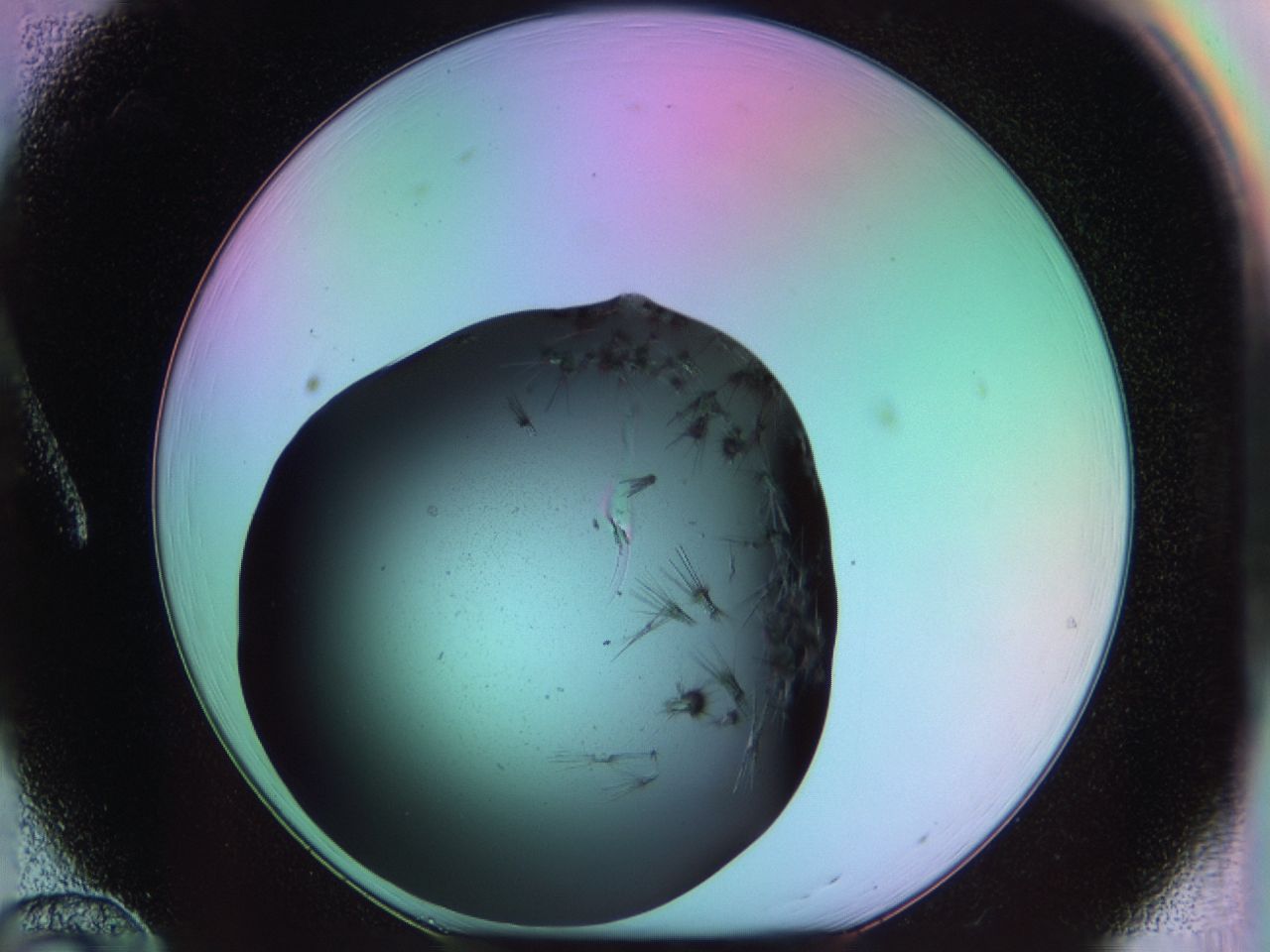03m9_A12_ImagerDefaults_6.jpg