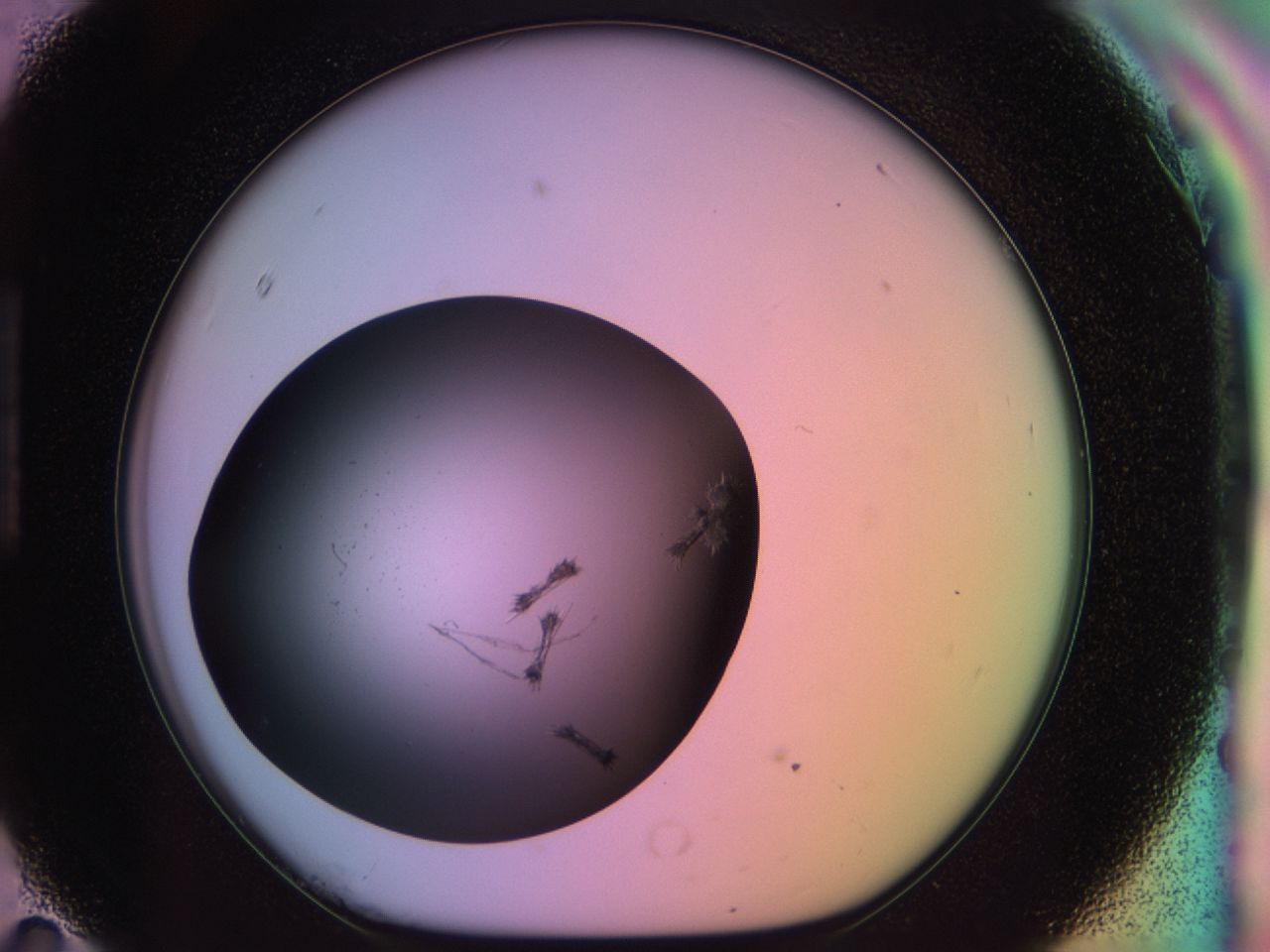 03m9_H11_ImagerDefaults_6.jpg